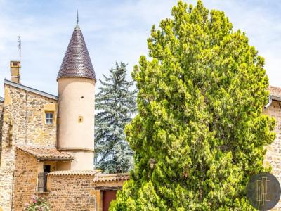 For sale Breuil 10 rooms 300 m2 Rhone (69620) photo 3