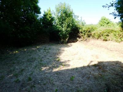 Annonce Vente 4 pices Maison Silfiac 56