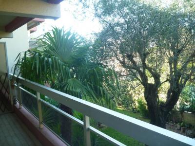 For rent Nice 1 room 33 m2 Alpes Maritimes (06200) photo 0