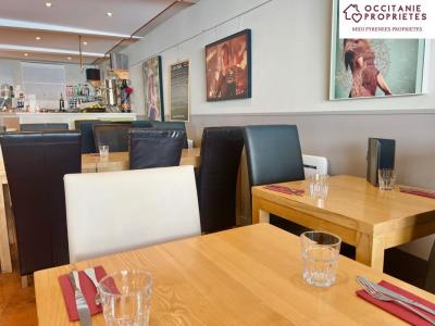 Annonce Vente Local commercial Mas-d'azil 09