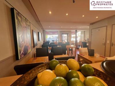 Acheter Local commercial Mas-d'azil 139000 euros