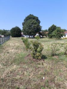 For sale Biscarrosse 739 m2 Landes (40600) photo 0