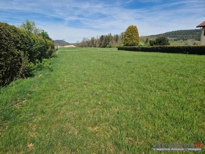 Annonce Vente Terrain Corcieux 88