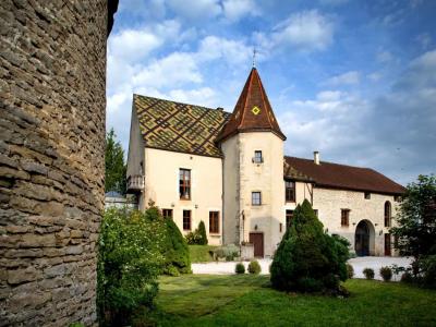 For sale Pichanges 11 rooms 533 m2 Cote d'or (21120) photo 0