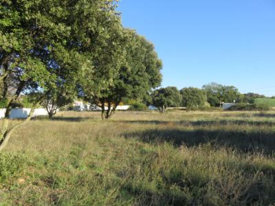 For sale Laudun 86 m2 Gard (30290) photo 0