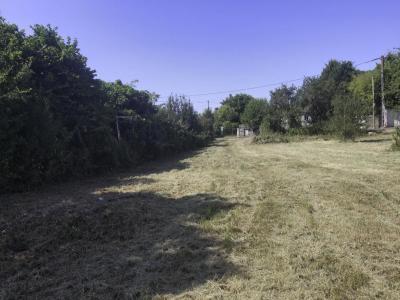 Annonce Vente Terrain Nachamps 17