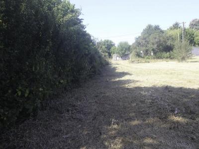 Acheter Terrain 2294 m2 Nachamps