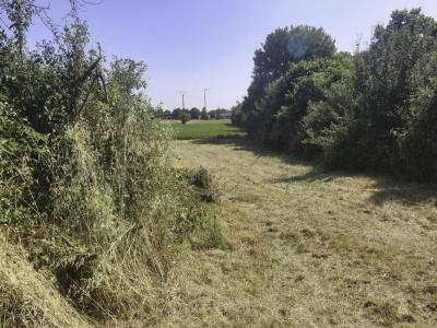 Acheter Terrain Nachamps 39410 euros
