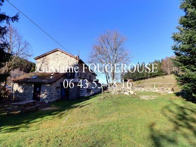Annonce Vente 20 pices Maison Saint-antheme 63