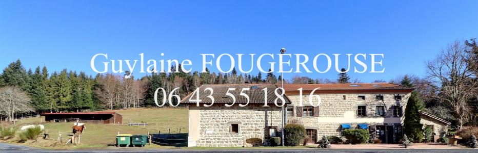 Acheter Maison 330 m2 Saint-antheme