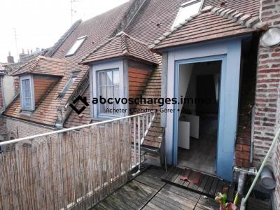 For rent Lille 2 rooms 40 m2 Nord (59000) photo 0