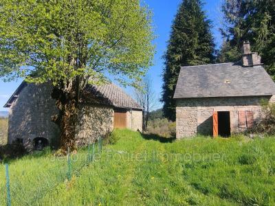 Annonce Vente Maison Saint-yrieix-le-dejalat 19