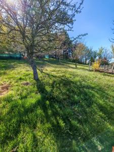 Annonce Vente Terrain Savas 07