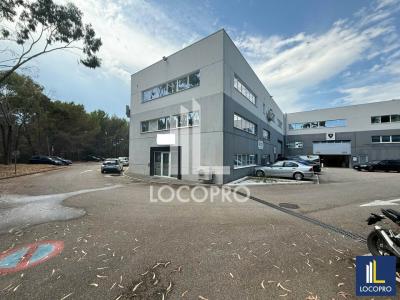 For rent Mouans-sartoux 706 m2 Alpes Maritimes (06370) photo 0
