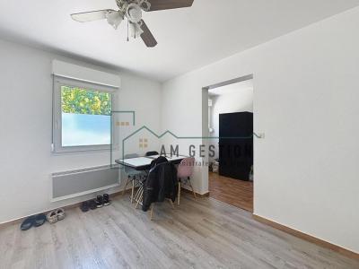 Louer Appartement Aixe-sur-vienne 540 euros