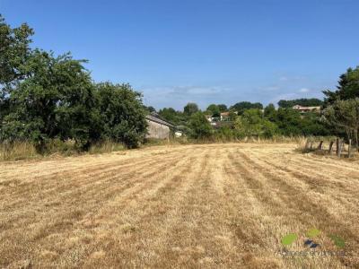 For sale Chateauneuf-la-foret 2000 m2 Haute vienne (87130) photo 0