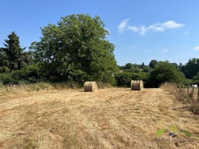 Annonce Vente Terrain Chateauneuf-la-foret 87