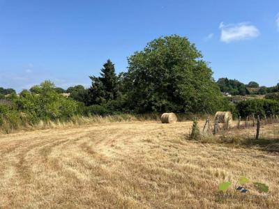 Acheter Terrain 2000 m2 Chateauneuf-la-foret