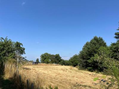 Annonce Vente Maison Chateauneuf-la-foret 87