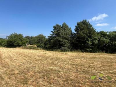 Acheter Maison Chateauneuf-la-foret 16000 euros