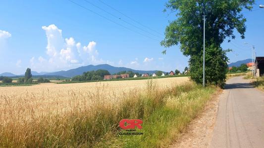 Acheter Maison 100 m2 Epfig