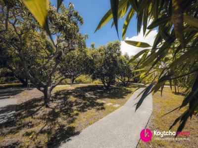 Annonce Location 3 pices Appartement Possession 974
