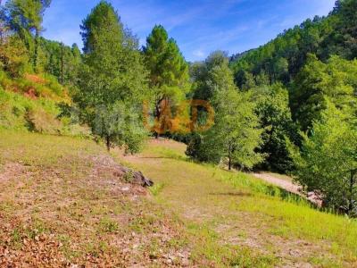 Acheter Maison Sainte-cecile-d'andorge 252500 euros