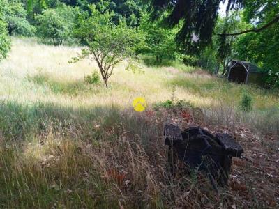 Acheter Terrain 1478 m2 Bonny-sur-loire