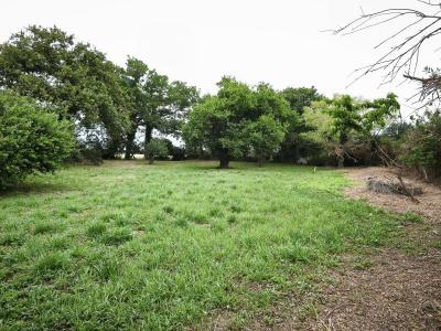 Annonce Vente Terrain Billiers 56