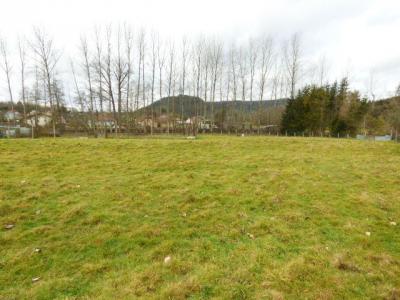 Acheter Terrain 