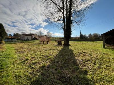 For sale Meuse (55260) photo 3
