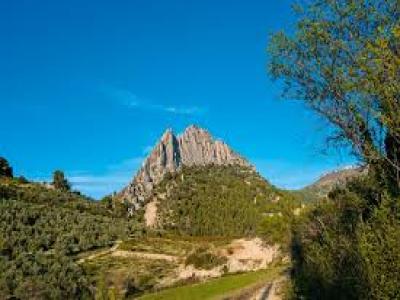 Acheter Maison 85 m2 Buis-les-baronnies