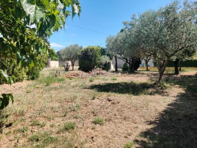 Acheter Terrain Sainte-cecile-les-vignes 145000 euros