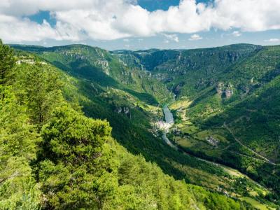 For sale Compeyre 10 rooms 350 m2 Aveyron (12520) photo 0