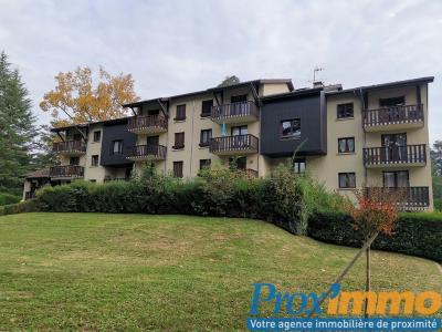 For rent Rives Rives 2 rooms 30 m2 Isere (38140) photo 0
