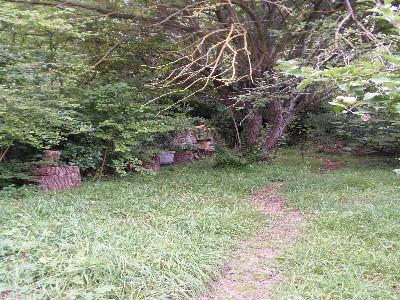 For sale Daumazan-sur-arize Daumazan sur Arize 4 rooms 130 m2 Ariege (09350) photo 2