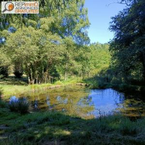 Acheter Domaine forestier Oradour-sur-vayres 153000 euros