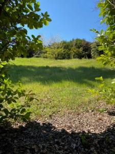 For sale Bourg-les-valence 800 m2 Drome (26500) photo 0