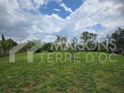 Annonce Vente Maison Gaillac 81
