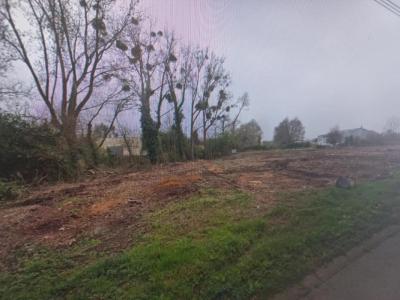 Annonce Vente Terrain Plouay 56
