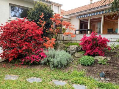 Annonce Vente Prestige Rabateliere 85
