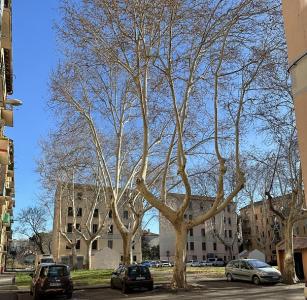 Annonce Location 3 pices Appartement Avignon 84