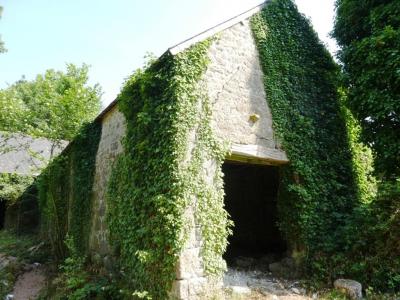 Annonce Vente 2 pices Maison Mellionnec 22