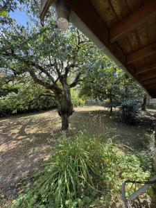 Acheter Maison Saint-genis-laval 795000 euros
