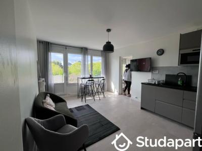 Annonce Location Appartement Chilly-mazarin 91