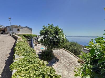 Acheter Maison San-martino-di-lota 597000 euros