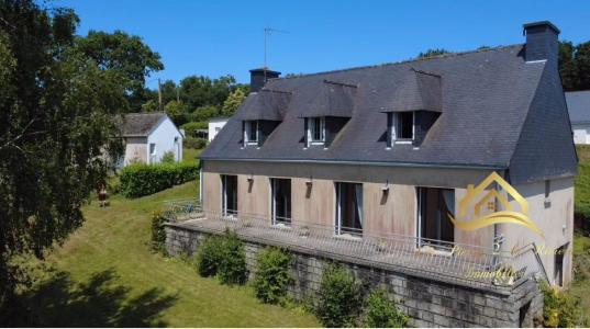 Annonce Vente 10 pices Maison  29