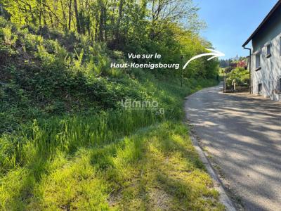 Annonce Vente Terrain Orschwiller 67