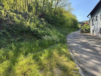 Acheter Terrain Orschwiller 140000 euros