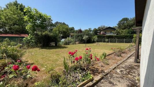 Annonce Vente 4 pices Maison Labenne 40